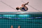 Swimming & Diving vs Babson  Swimming & Diving vs Babson College. - Photo by Keith Nordstrom : Wheaton, Swimming